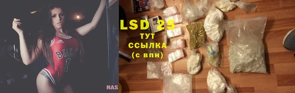ПСИЛОЦИБИНОВЫЕ ГРИБЫ Лагань