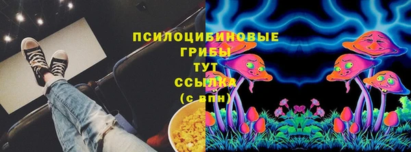 мескалин Лабытнанги