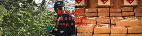 ПСИЛОЦИБИНОВЫЕ ГРИБЫ Лагань