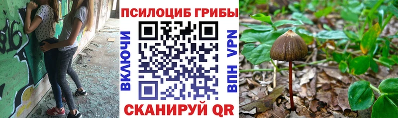 Псилоцибиновые грибы Magic Shrooms  Купить где  Анива 